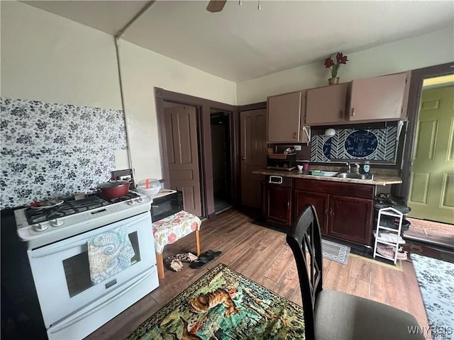 kitchen featuring sink, light hardwood / wood-style flooring, dark brown cabinets, tasteful backsplash, and white range with gas cooktop