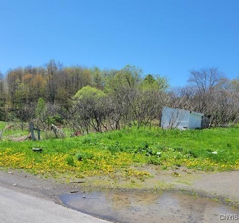 207 S Rd, Plainfield, NY 13491 - view of yard