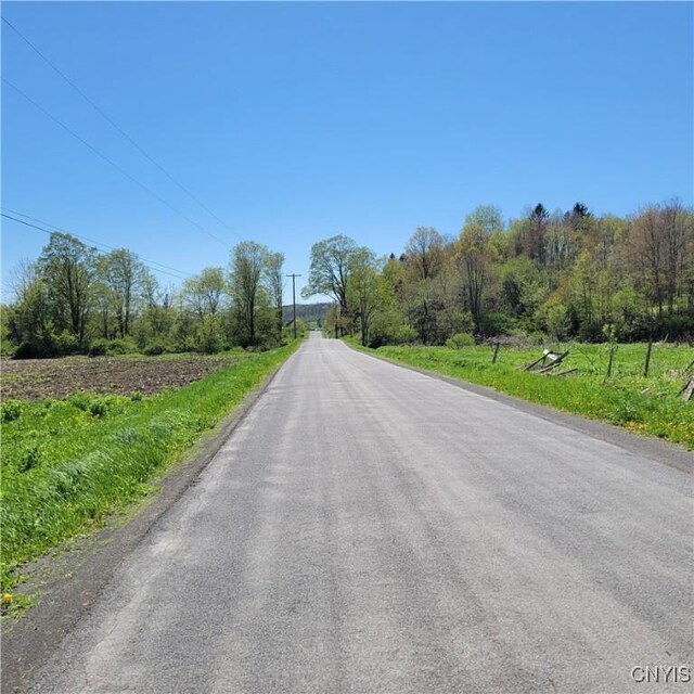 207 S Rd, Plainfield, NY 13491 - view of asphalt street