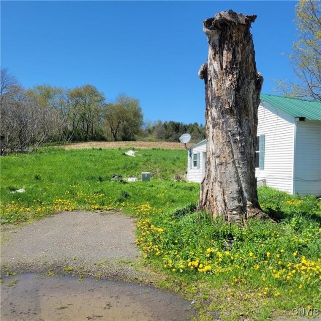 207 S Rd, Plainfield, NY 13491 - view of yard