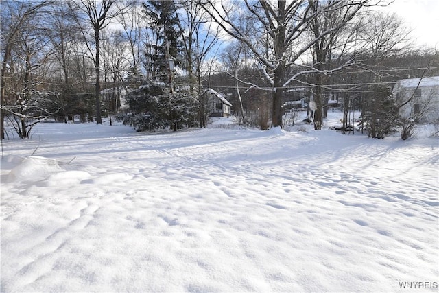 view of snowy yard