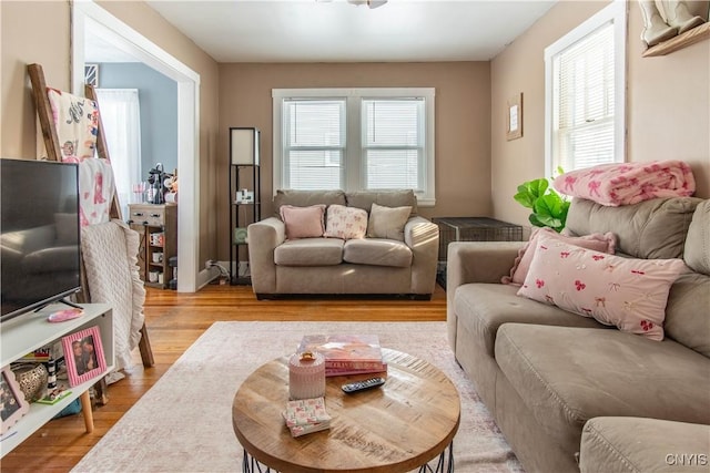 living room with light hardwood / wood-style flooring