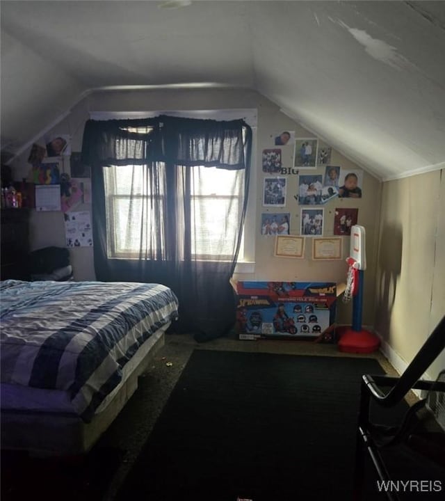 bedroom featuring vaulted ceiling