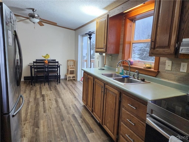 kitchen with tasteful backsplash, appliances with stainless steel finishes, sink, and hardwood / wood-style floors