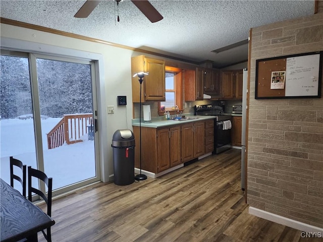 kitchen with stainless steel range with electric stovetop, sink, hardwood / wood-style flooring, and a textured ceiling