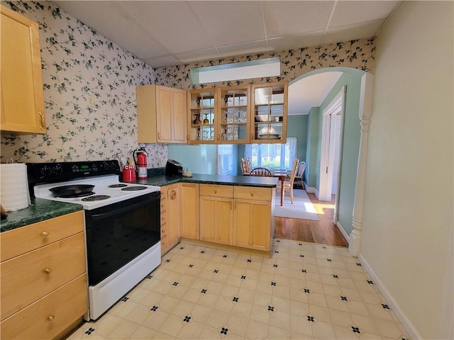 kitchen with a drop ceiling, range with electric stovetop, and light brown cabinets