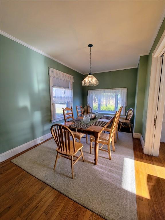 dining area with ornamental molding, plenty of natural light, and hardwood / wood-style floors