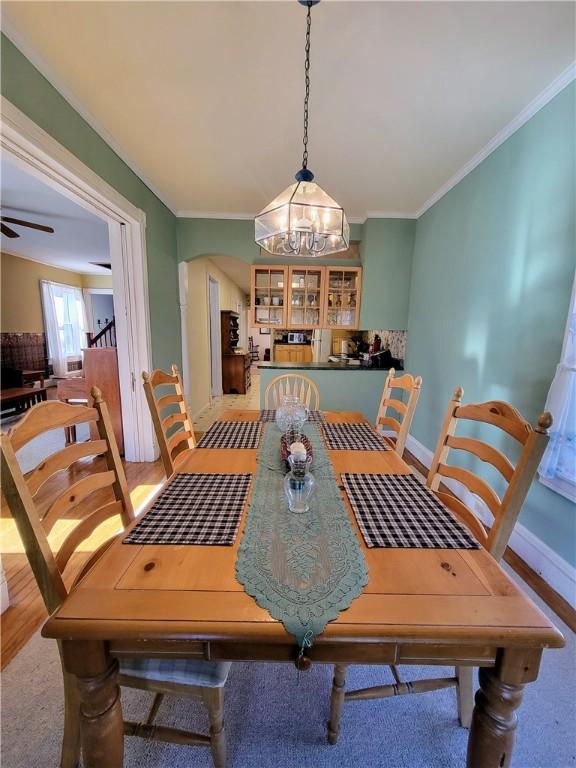 dining room with crown molding and ceiling fan