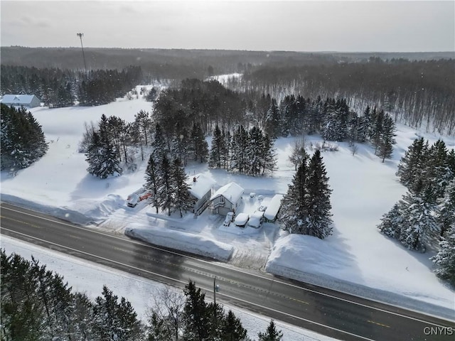 view of snowy aerial view