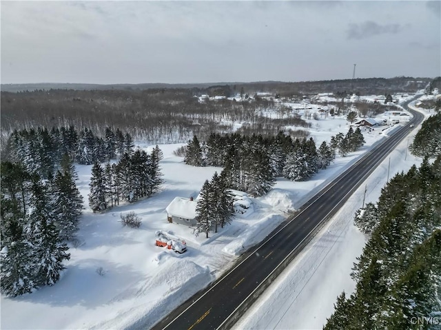 view of snowy aerial view