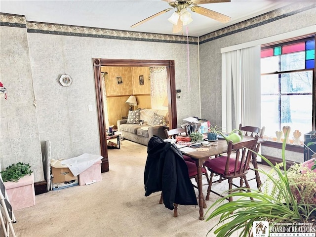 dining room featuring ceiling fan and carpet