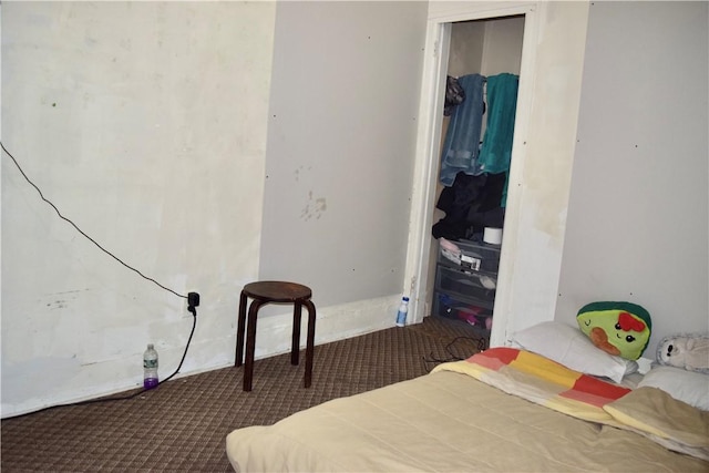 bedroom featuring carpet flooring and a closet