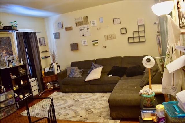 living room featuring dark hardwood / wood-style floors