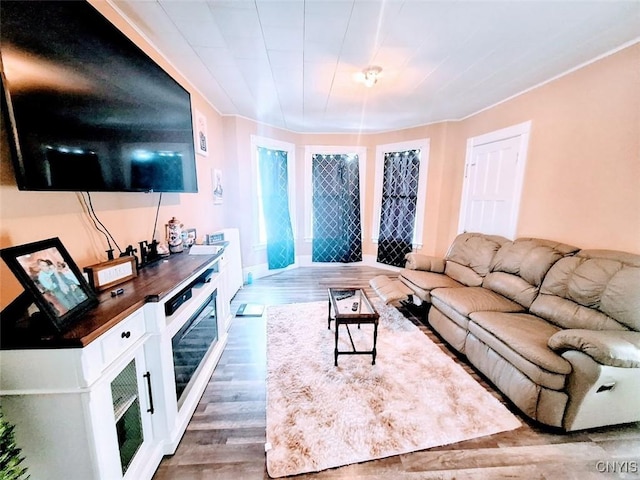 living room featuring dark hardwood / wood-style floors