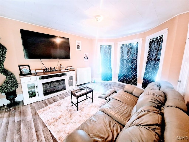 living room with radiator heating unit and light hardwood / wood-style flooring