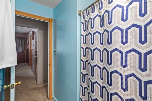 hallway with carpet floors