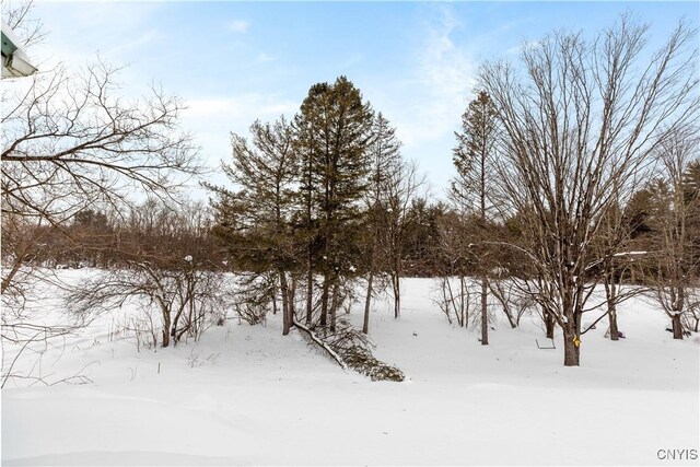 view of snowy landscape