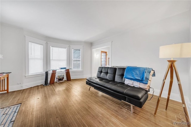 living room featuring hardwood / wood-style flooring