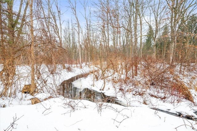 view of snow covered land