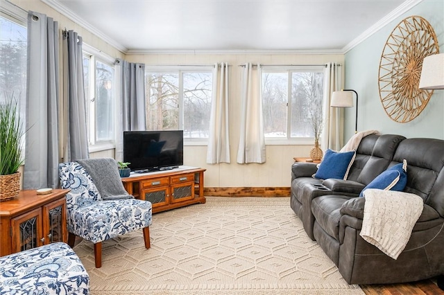 living room featuring ornamental molding