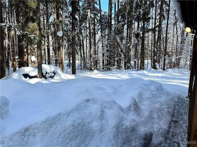 view of yard covered in snow