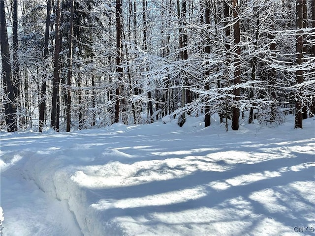 view of snowy view