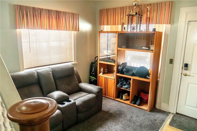 living area featuring dark colored carpet