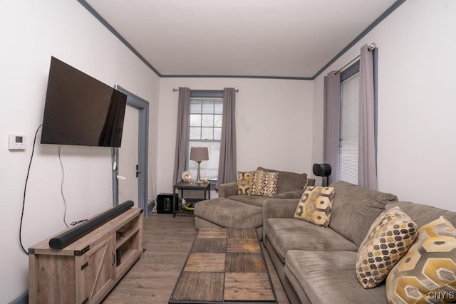 living room with crown molding and hardwood / wood-style floors