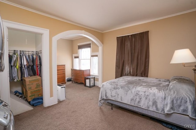 bedroom featuring a walk in closet, crown molding, carpet, and a closet