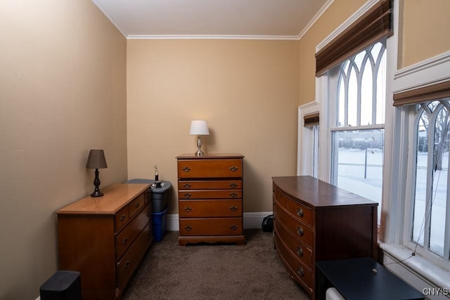 bedroom with crown molding and dark colored carpet