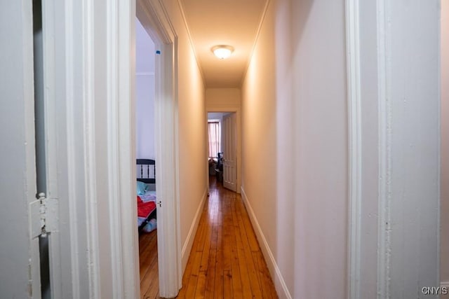 corridor featuring hardwood / wood-style floors