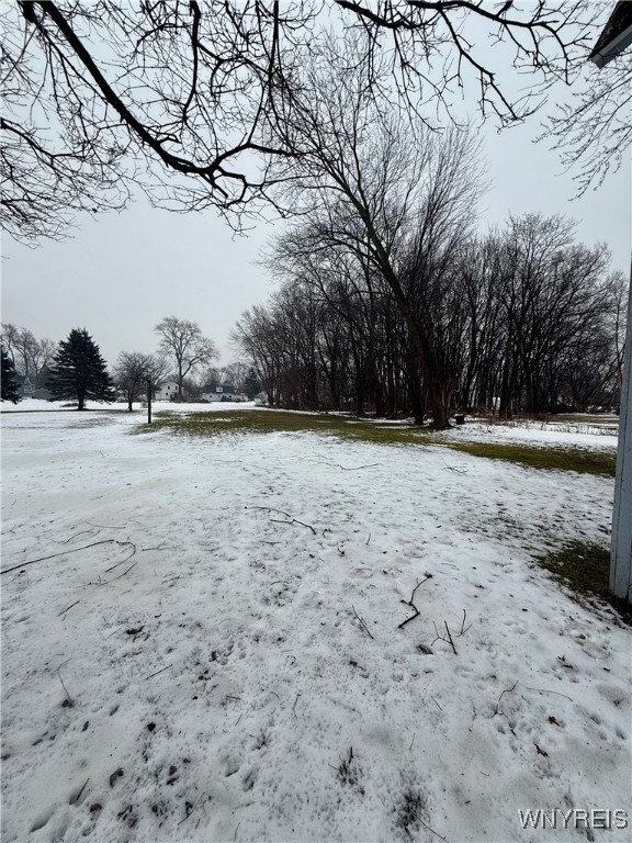 view of yard covered in snow