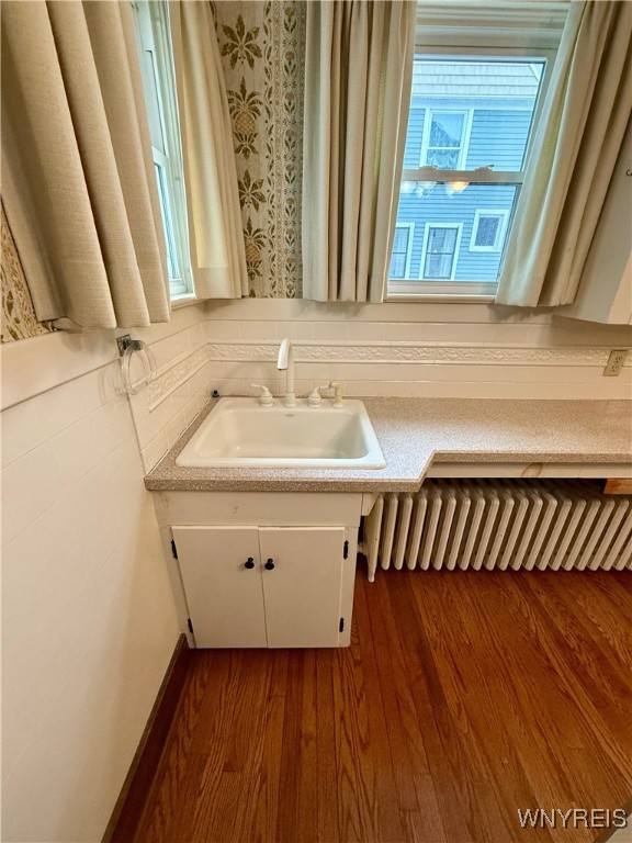 bathroom featuring hardwood / wood-style flooring, vanity, and decorative backsplash