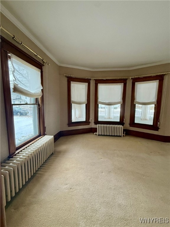 unfurnished room with ornamental molding, radiator heating unit, and light carpet