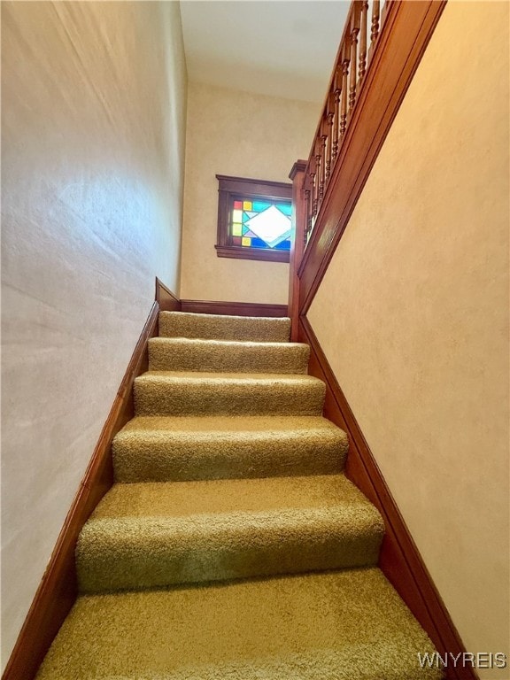 stairway featuring carpet