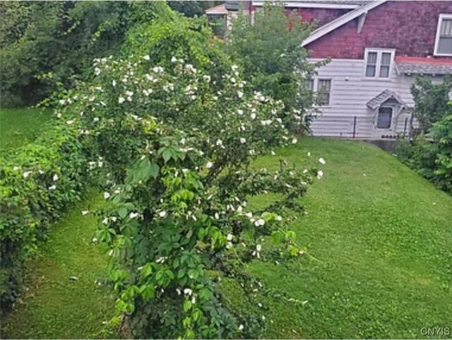1218 City St, Utica, NY 13502 - view of yard