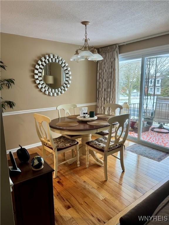 dining area featuring hardwood / wood-style flooring and a textured ceiling