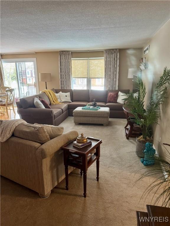 carpeted living room with plenty of natural light and a textured ceiling