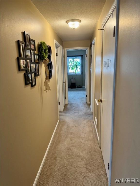 hall featuring light carpet and a textured ceiling