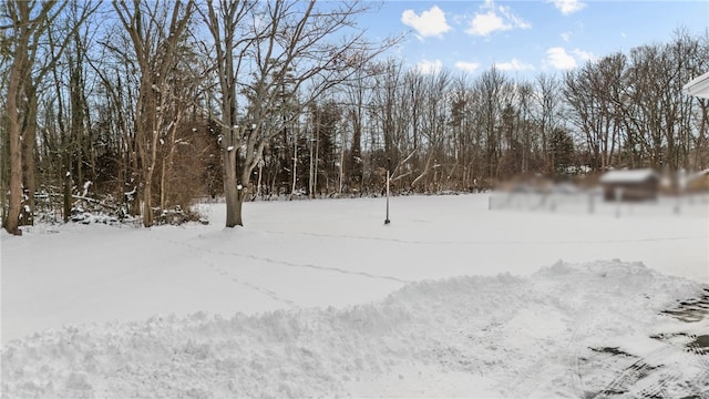 view of yard layered in snow