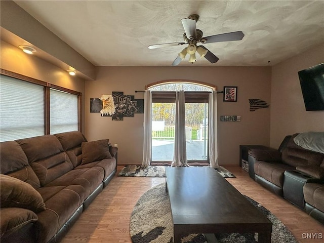 living room with ceiling fan and light hardwood / wood-style flooring