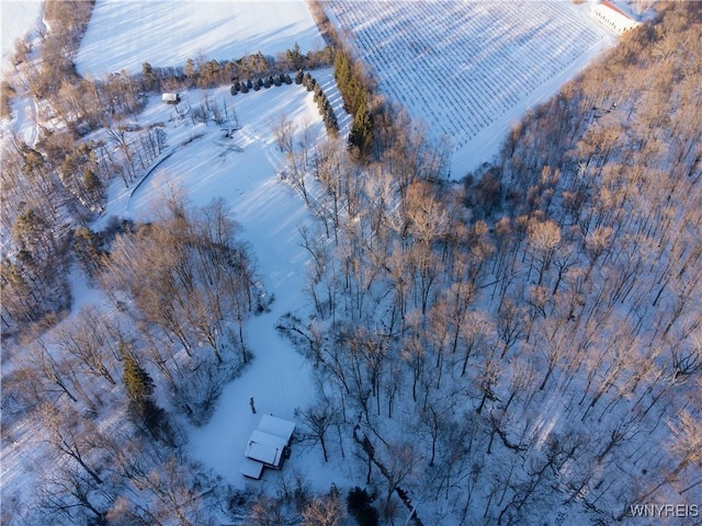 view of snowy aerial view