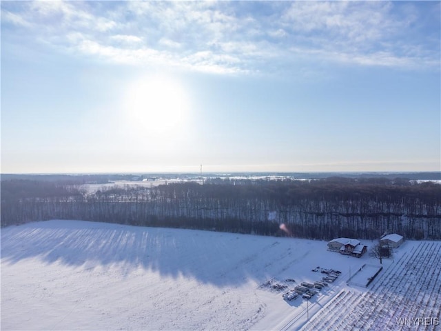 view of snowy aerial view