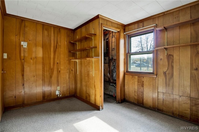 unfurnished room featuring carpet and wooden walls