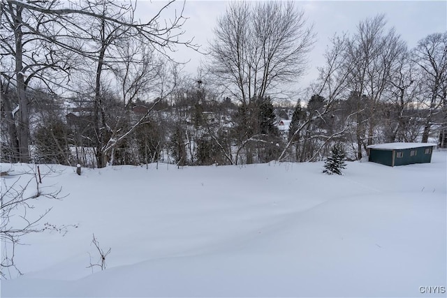 view of yard covered in snow