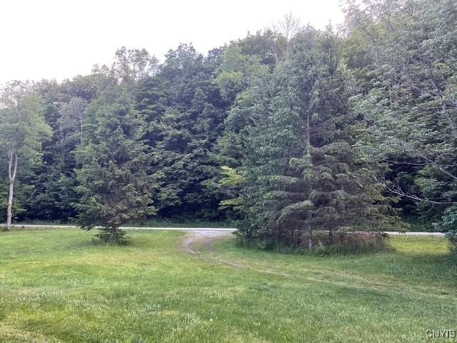6346 Cold Brook Rd, Scott, NY 13077