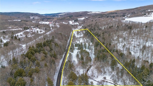 6346 Cold Brook Rd, Scott, NY 13077