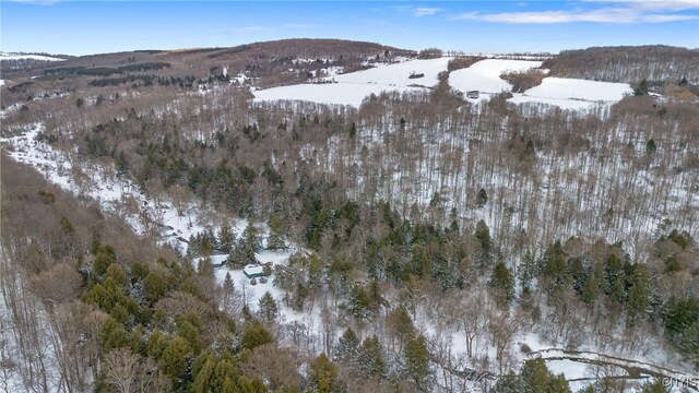 6346 Cold Brook Rd, Scott, NY 13077