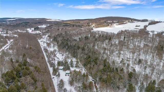 6346 Cold Brook Rd, Scott, NY 13077