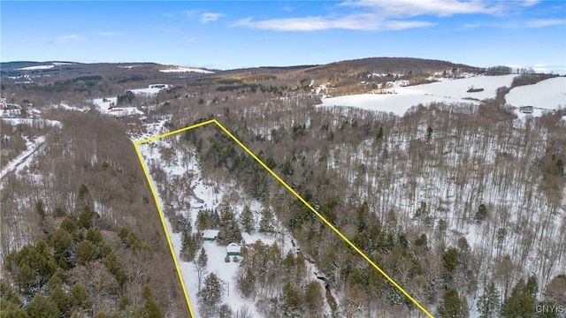 6346 Cold Brook Rd, Scott, NY 13077